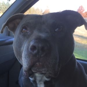 Meet your Posher, Mason